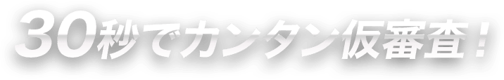30秒で簡単仮審査！